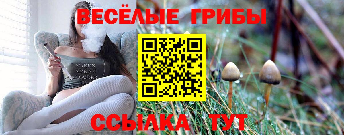 Узловая  Псилоцибиновые грибы мицелий  Вход с VPN  Псилоцибиновые грибы Magic Shrooms 