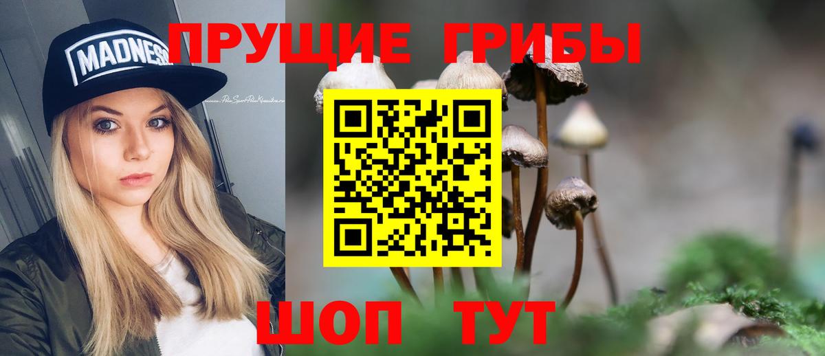 Псилоцибиновые грибы Cubensis Узловая